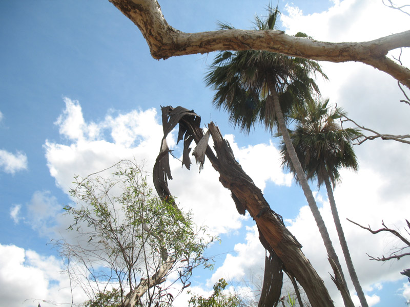 Lakefield National Park - Walkabout